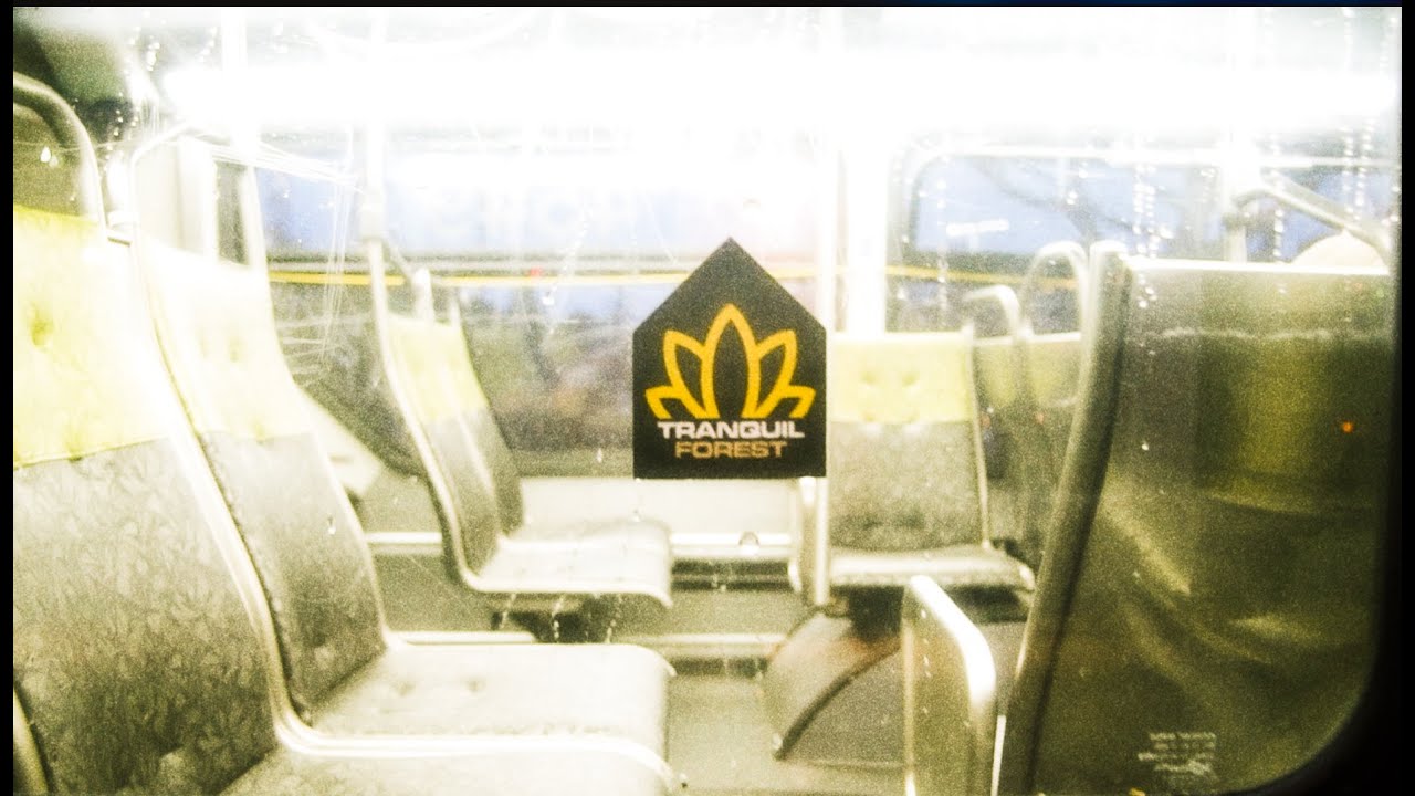 A cold day in Paradice