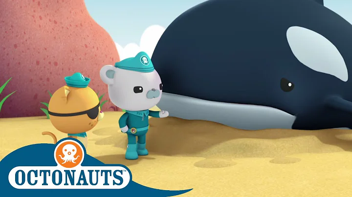 Octonauts - A Lost Whale | Cartoons for Kids | Underwater Sea Education