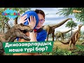 Динозаврлардың неше түрі бар?