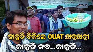 Protest For Jobs: OUAT Students Stage Unique Protest With Vegetables