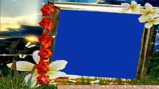 wedding green screen effects & wedding blue screen effects & s dil l green