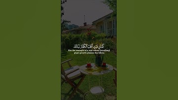 سورة الحديد - الشيخ سعد الغامدي #قرآن #قران_كريم #المصحف #اكسبلور