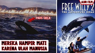 Seekor Paus Orca Menyelamatkan Teman Lamanya Yang Hampir Terbakar | Alur Film Fre3 Willy 2 (1995)