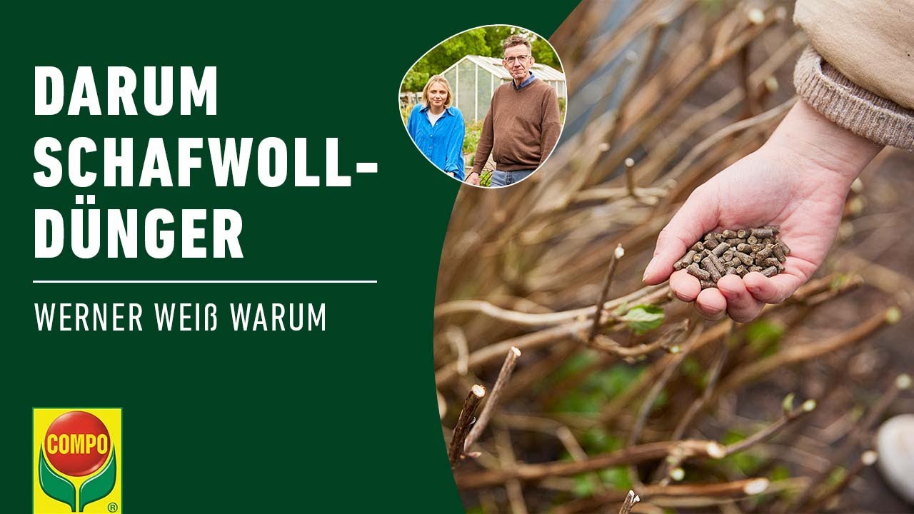 Welche Vorteile hat ein Schafwolldnger? | COMPO