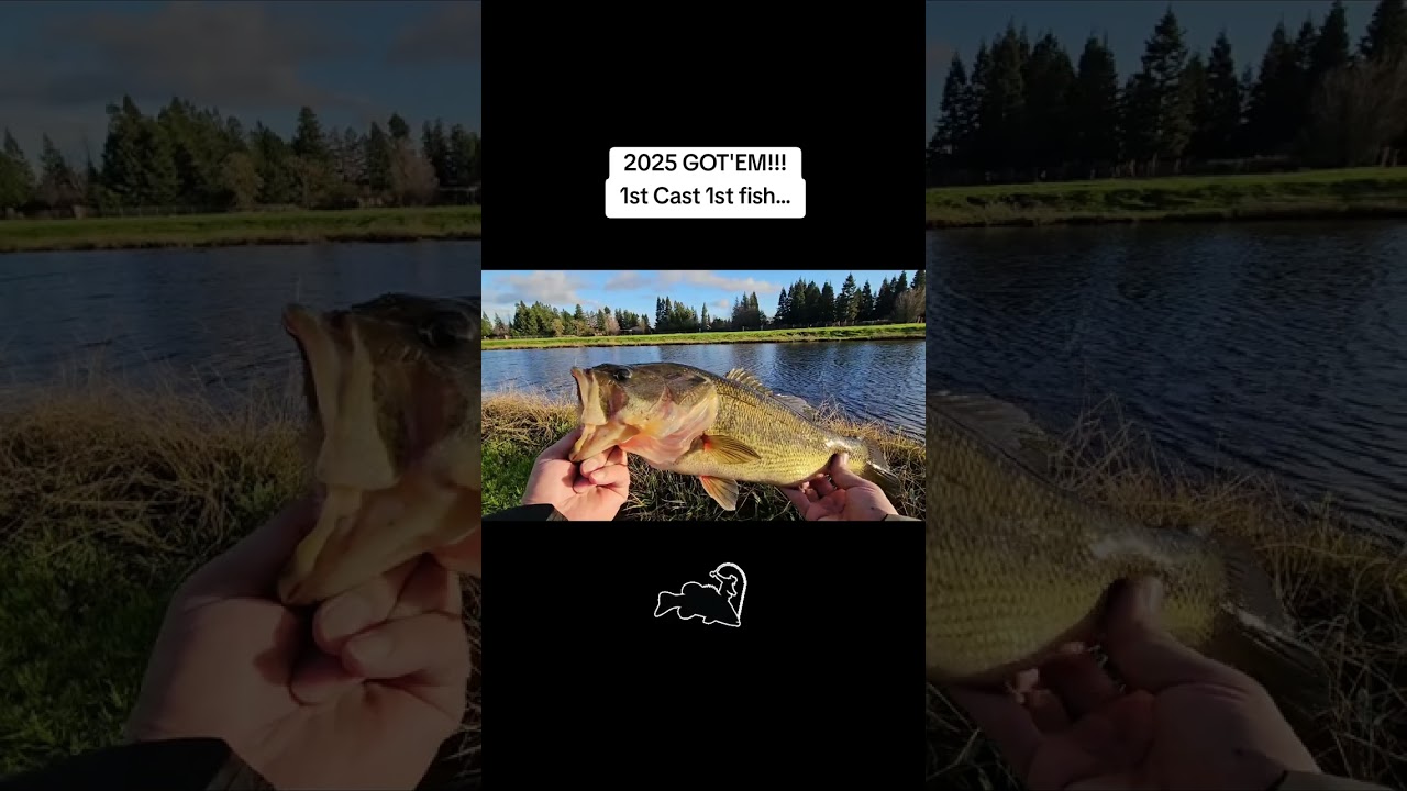 1st Day 2025 Bass Fishing 1st cast n first fish… What a start…