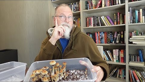 Growing mushrooms: Step 12 1/2. Casing Layer (optional or essential?)