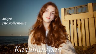 картинка: Калининград | Куршская коса, море и спокойствие 
