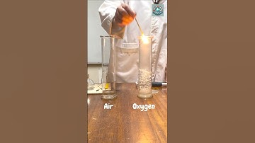 Demo: Test for carbon dioxide & oxygen with a splint