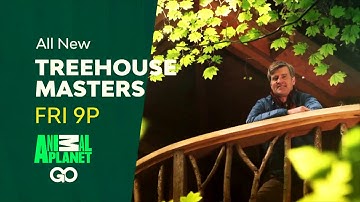 Princess Cruises | Our Alaska Treehouse revealed 9/22 on Treehouse Masters