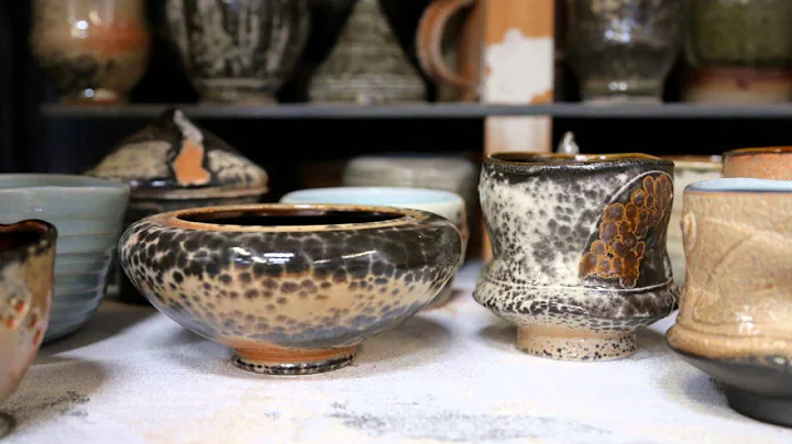 Leopard Spot Shinos, Reds, & Celadons - All togeth...