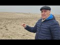 2023, 14 noyabr oyida tuproqqa ishlov berilmasdan ekilgan kuzgi bug'doyning 2024 7 fevraldagi holati