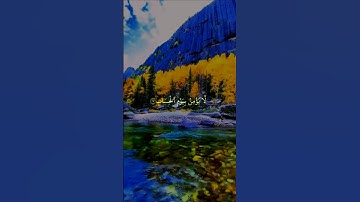 وقال فرعون ذروني أقتل موسي وليدع ربه 🌹 الشيخ خالد الجليل ♥️ تلاوة خاشعة #القران_الكريم_راحه_نفسية