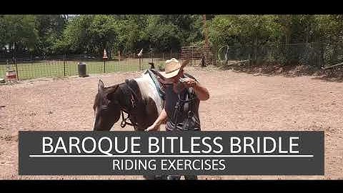 Baroque Bitless Bridle (Cross under style) Riding Exercises to evaluate bridle