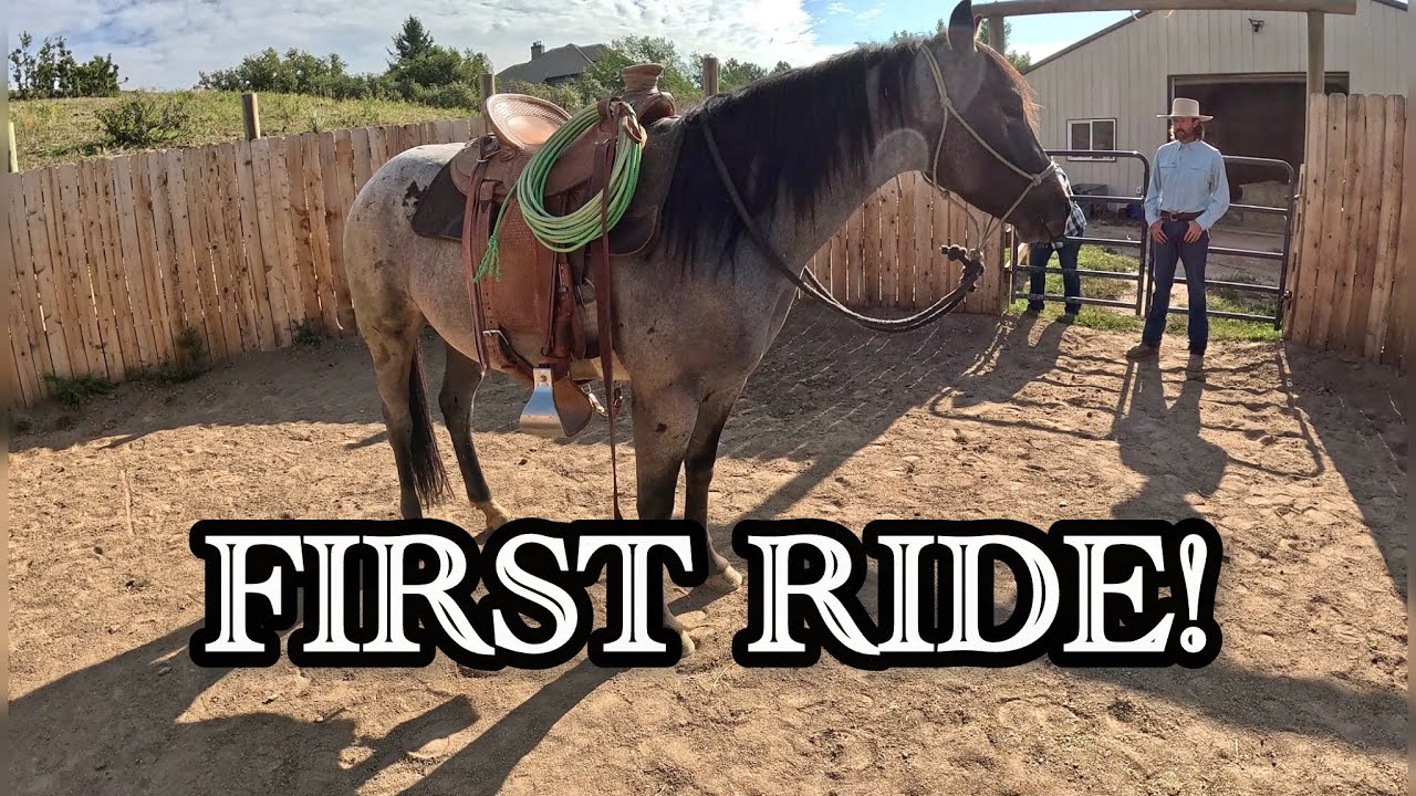 Filly’s First Ride | Starting A Touchy Filly