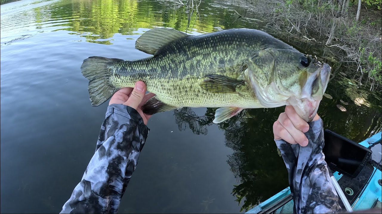 Fishing a FROG for Big Post Spawn Bass!