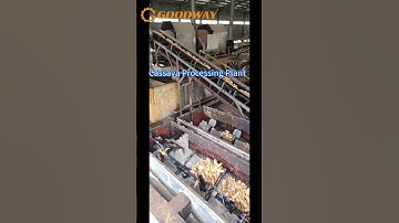 Cassava Processing Plant