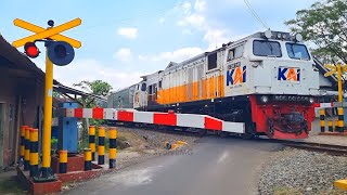 Download Lagu Langsiran Lokomotif | Perbandingan 2 Jenis Perlintasan Kereta Api SIEMENS MP3