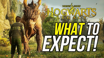 Hogwarts Legacy - What To Expect Before Buying!