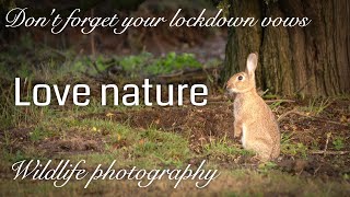 Love Nature - Nature photography