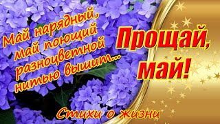 До встречи, май ✿ До свидания, весна👍Красивые стихи о жизни и природе под красивую музыку