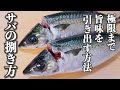 旨味を引き出すサバのさばき方~究極の血抜きから刺身になるまで