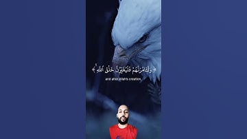 #قرآن #اكسبلور #العظماء #quran #دويتو #المصحف #العلم #تجويد_القران #duet #الظروف#music#muslim