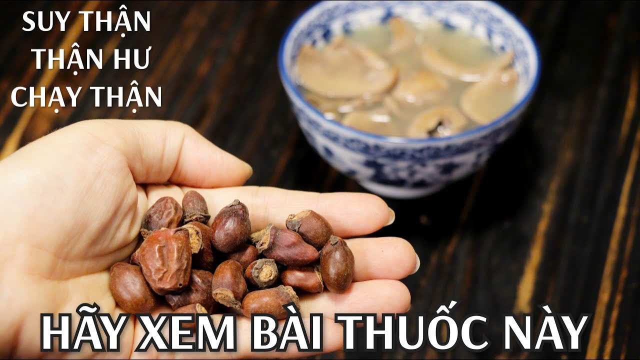 Bài Thuốc Hỗ Trợ Người Bị Thận Hư - Suy Thận - Chạy Thận Nhân Tạo Rất Hiệu Quả.