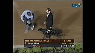 2000 Australian Greyhound Cup Meadows Mon 24 Jan