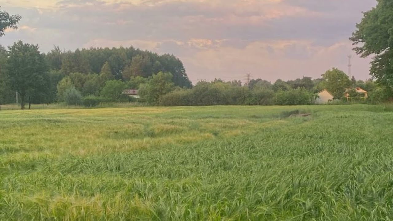 Destructive Sneezes on a Date (Custom Scenario)