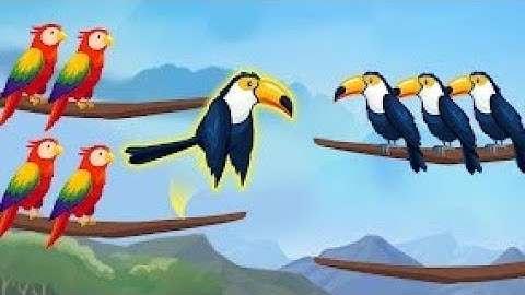 bird sort unity source code - unity project - unity game