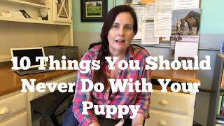 10 Things You Should Never Do With Your Puppy