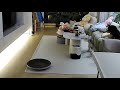 Cheeky feline spills drink all over rug || Viral Video UK