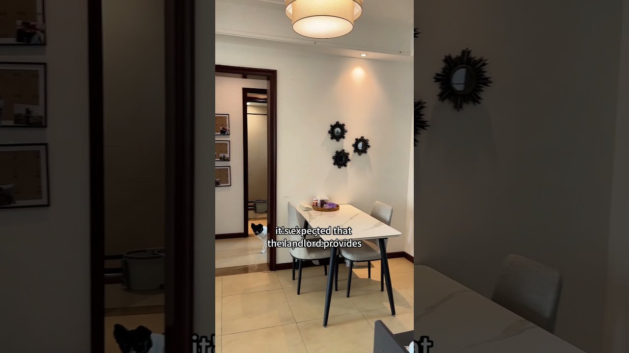 Where I Live In China Apartment Tour Shorts