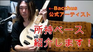 【祝】Bacchusの公式アーティストになりました！【楽器紹介】