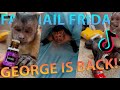 Georgie Boy Official - Fanmail Friday 11 George is Back!