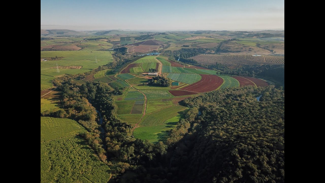 Farm For Sale in KwaZulu-Natal