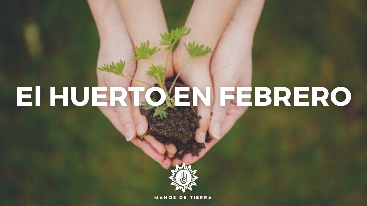 Todo Lo Que Podemos Sembrar En Febrero /calendario de siembra