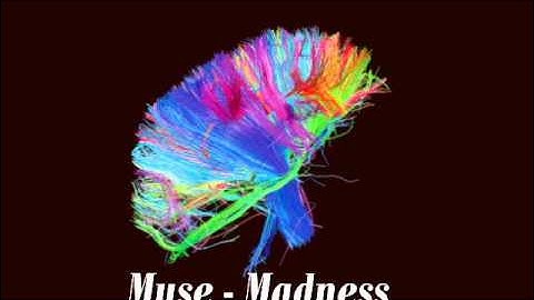 MUSE - Panic Station official music