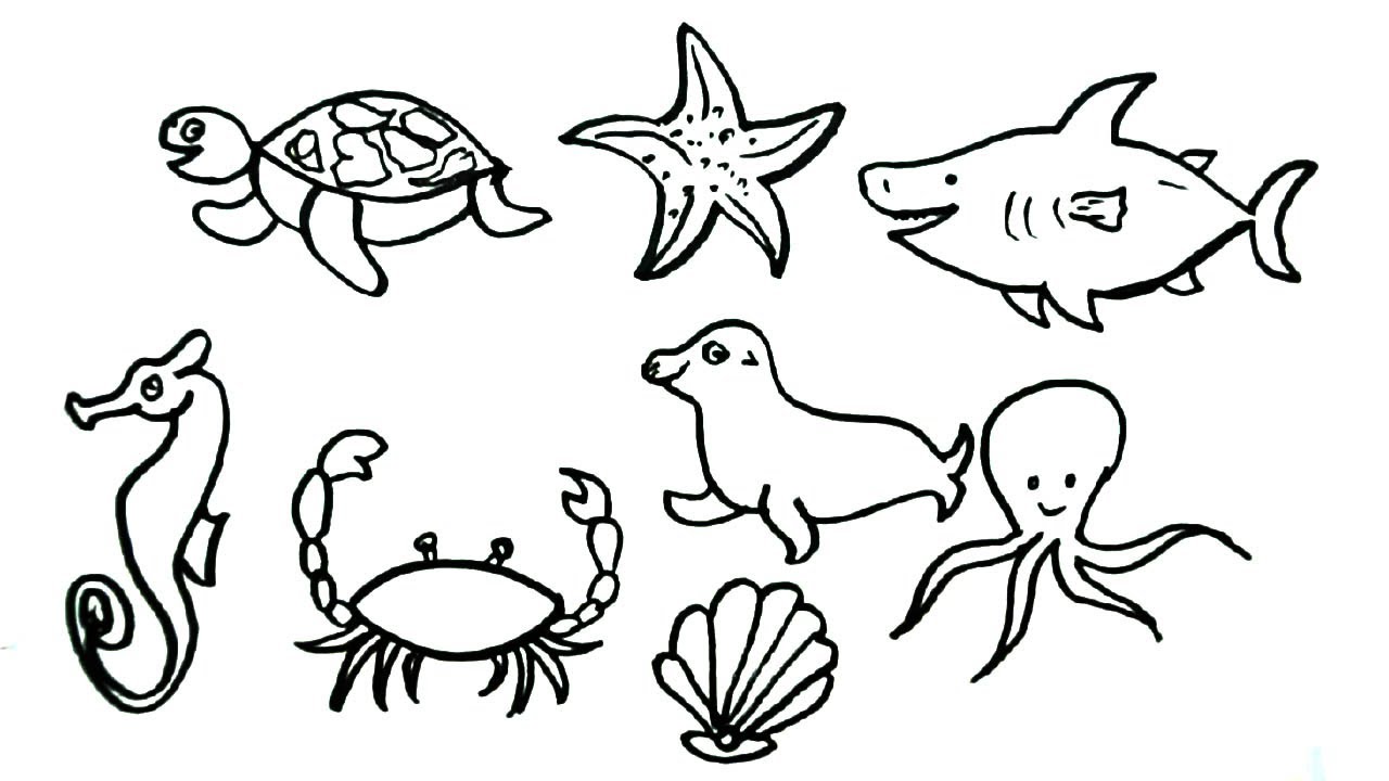 How to Draw Sea Animals drawing, Easy Step by Step drawing