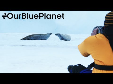 Filming On Thin Ice In Antarctica #OurBluePlanet | BBC Earth