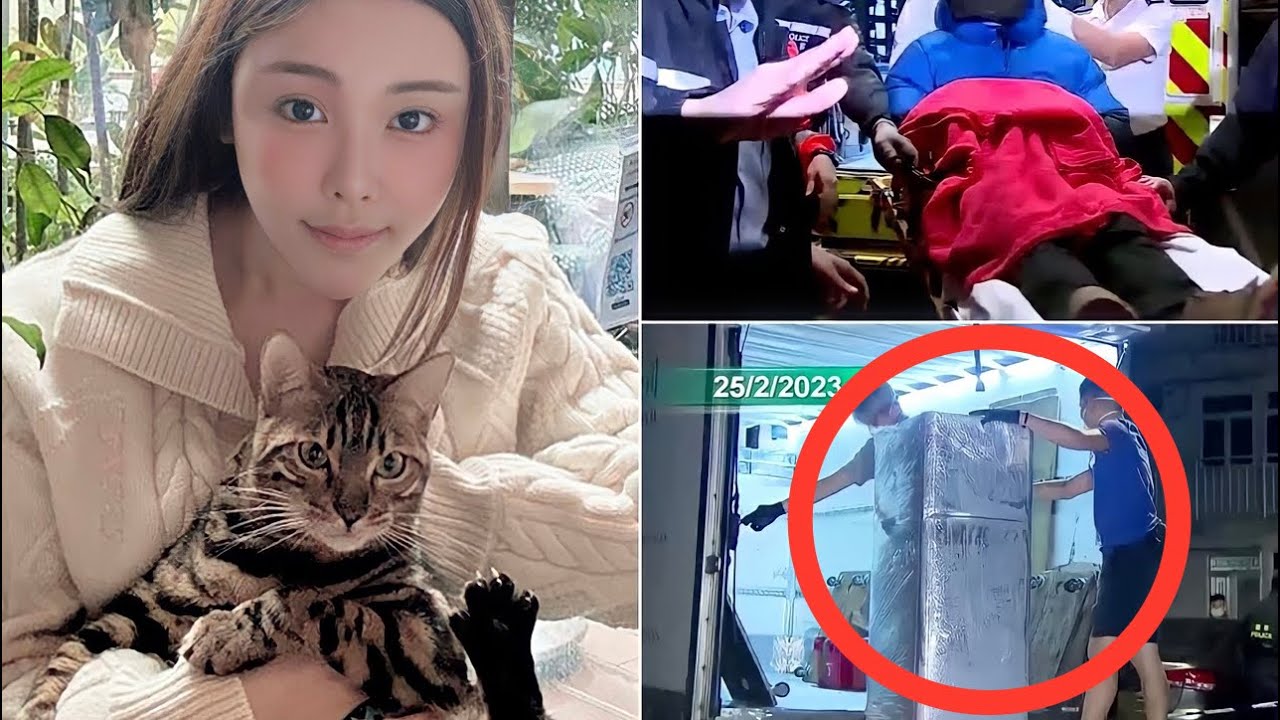 Abby Choi: La FAMILIA de su EXMARIDO la ASESlNÒ y la COClNÒ - El CAS0 más H0RRlBLE que escucharas 👁