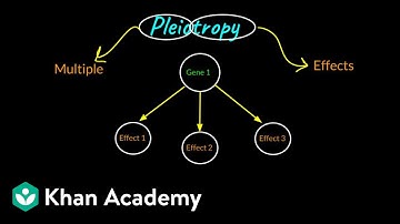 Pleiotropy | Principles of Inheritance and Variation | Class XII | Biology | Khan Academy