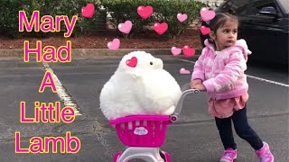 Little Girl Pretend Play Mary Had A Little Lamb Pranshi Pretend Play With Little Lamb Kids Video