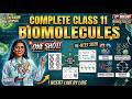 Complete biomolecules in one shot 🔥|NCERT line by line| RE NEET 2026