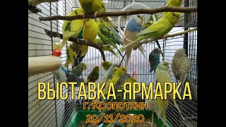 29.11.2020 Птичий рынок.г. Кропоткин Краснодарский край (1 часть)