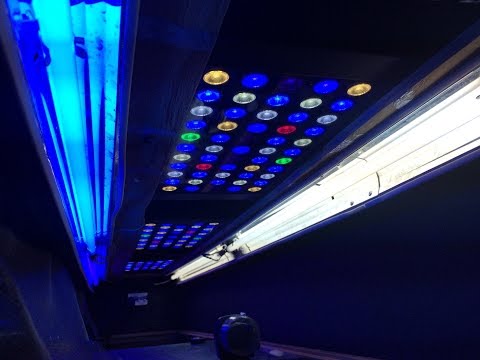 t5 led hybrid home