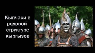 Кыпчаки в родовой структуре кыргызов