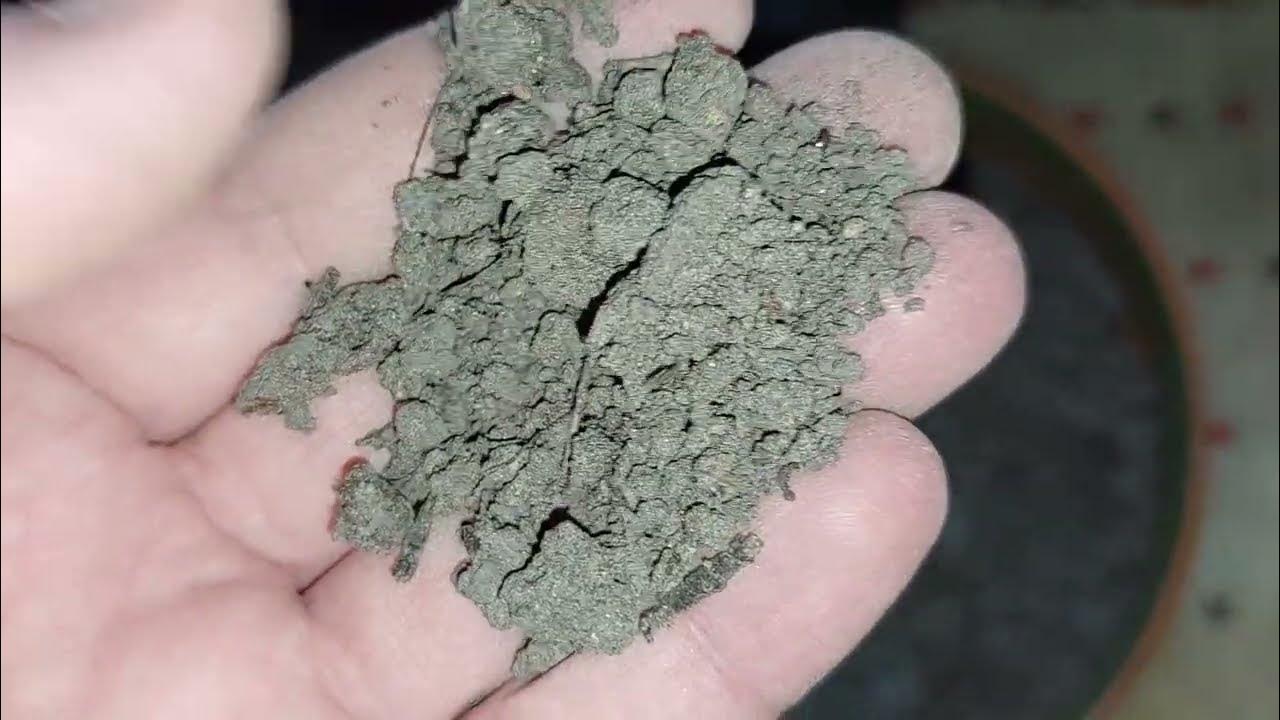 Грунт для кактусов своими руками. Какие компоненты я использую? Как ...