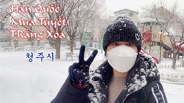 Tuyết Rơi Trắng Xóa Cả Khu Phố Hàn Quốc _2021|| Mùa Đông Lạnh Giá Hàn Quốc [청주시]@hyerimiu8036