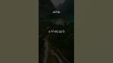 سورة الفجر.بصوت الشيخ ياسر الدوسري #قرآن #quran #القرآن_الكريم #قران_كريم #fyp #trending